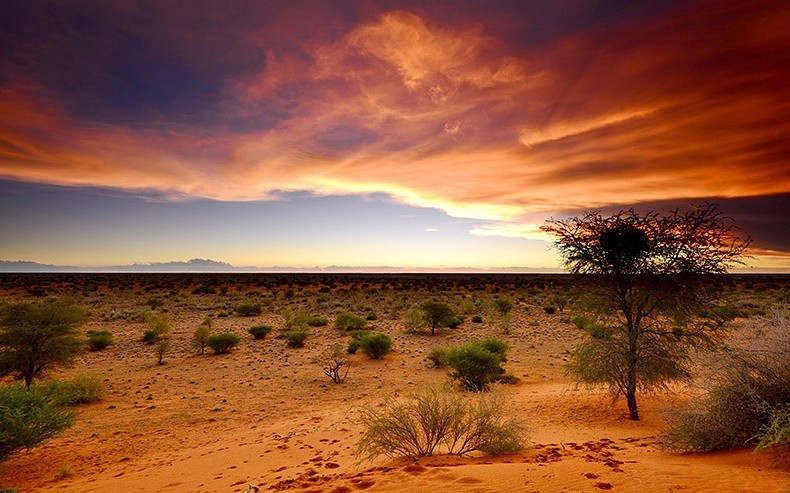 View Namibia Trips