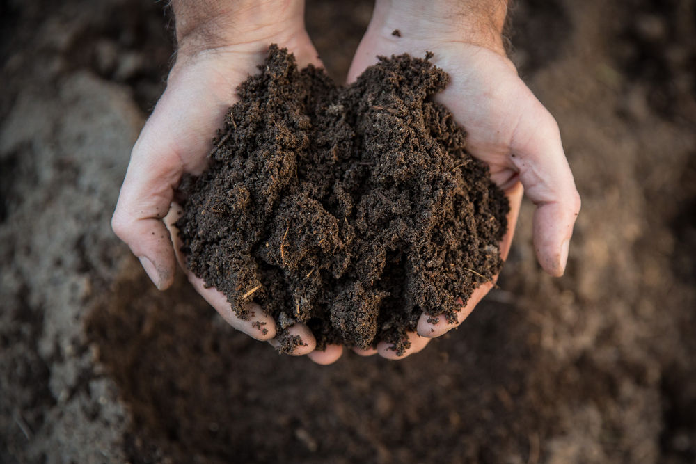 importance of soil fertility