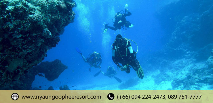 Scuba Diving : A way to explore Sights of Underwater World​