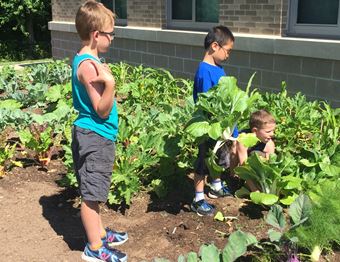 Children at Plantsville Elementary School in their garden