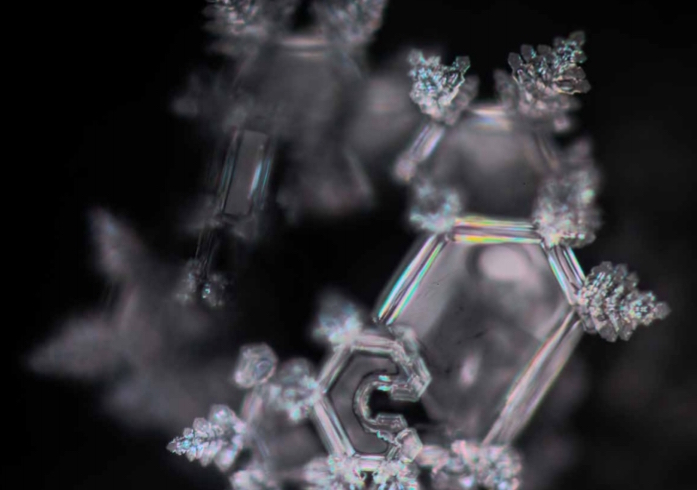 mikroskopska fotografija kristala meda