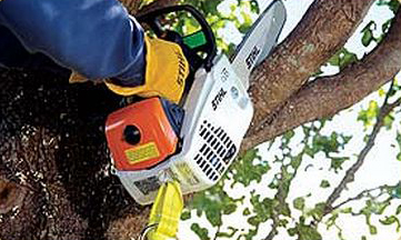 Olsen Tree Experts in CT specialize in  tree removal and pruning