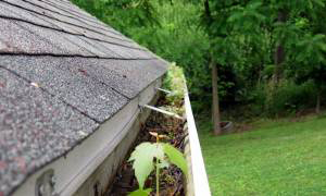 Gutter Cleaning and Maintenance Services - A&A Seamless Gutters