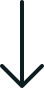 Contact Form