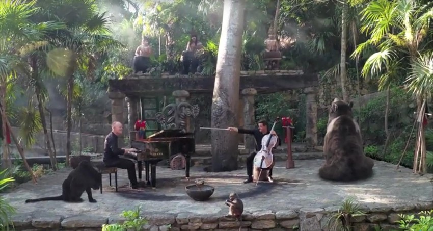 The Piano Guys Jungle Book Cello Juleez